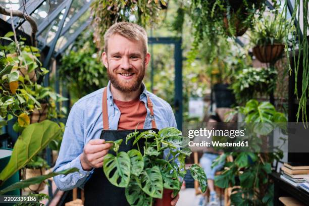 smiling greenhouse owner holding sapling at garden centre - botanist stock pictures, royalty-free photos & images