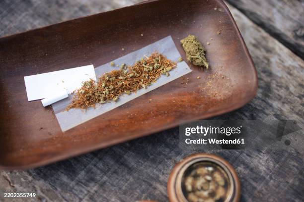 dried marijuana leaf kept on paper in tray - produto relacionado com tabaco - fotografias e filmes do acervo
