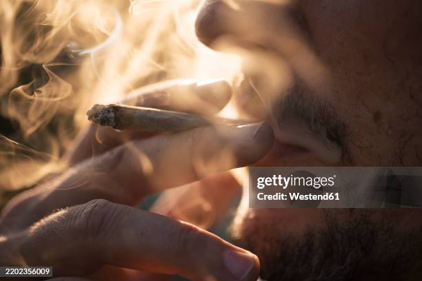 man smoking marijuana cigarette on sunny day - smoking joint stock pictures, royalty-free photos & images