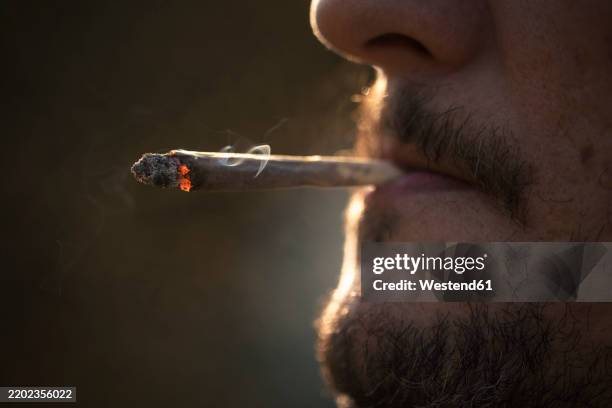 man with beard smoking marijuana cigarette - hash-joint stock pictures, royalty-free photos & images