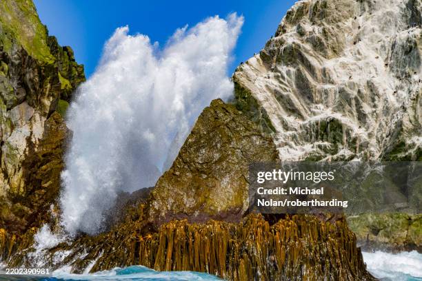 Shag Rovcks 32 Shag Rocks South Georgia Stock Photos, High-Res Pictures, and Images ...