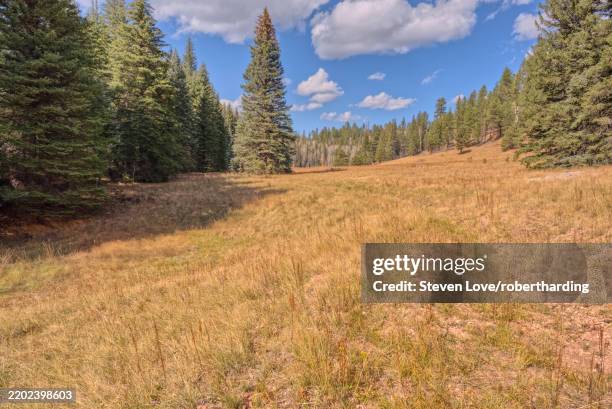 Fuller Canyon Rd 116 Grand Canyon Sky Walk Stock Photos, High-Res Pictures, and Images ...