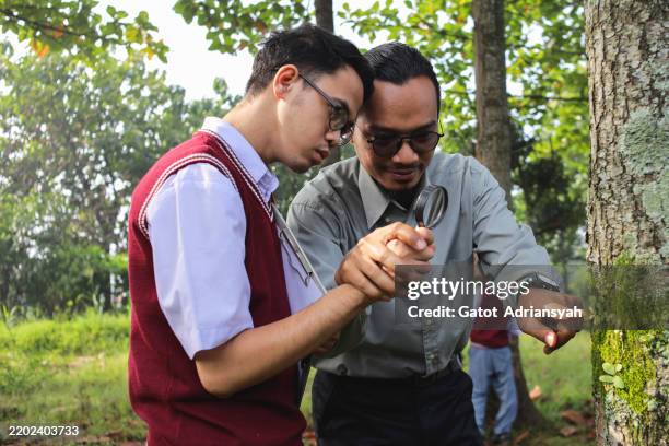 Bali Sign Language 569 Indonesian Sign Language Stock Photos, High-Res Pictures, and ...