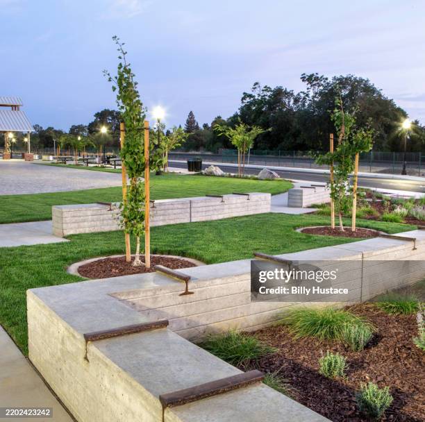 public park with decorative garden and bench seats - elementos sólidos de jardinería fotografías e imágenes de stock