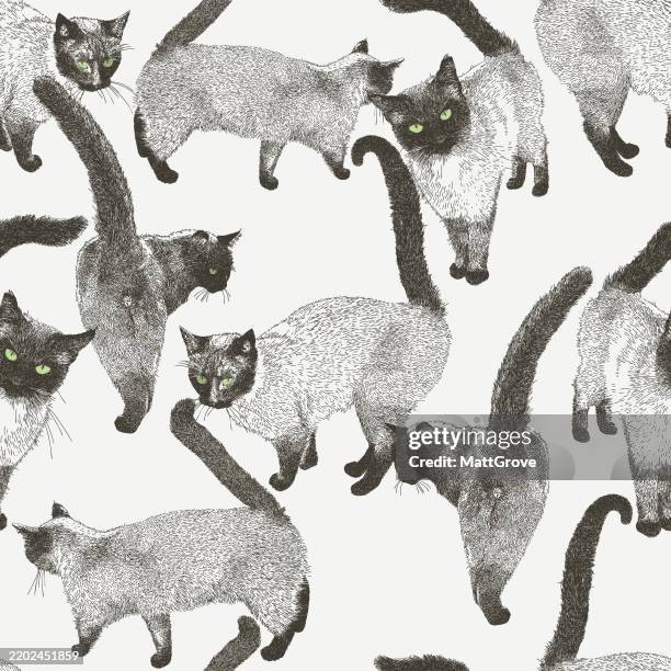 stockillustraties, clipart, cartoons en iconen met siamese cats repeat pattern - katachtigen