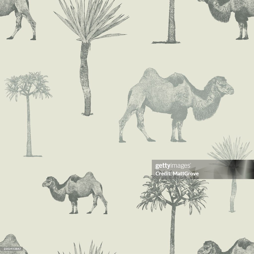 Camels & Palm Trees Desert Repeat