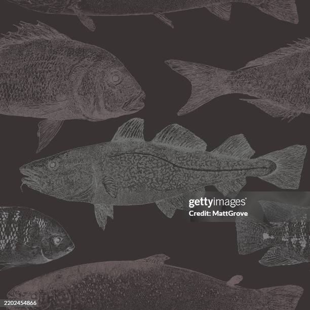 Fish Repeat Salmon Red Snapper Cod Cichlid High-Res Vector Graphic ...