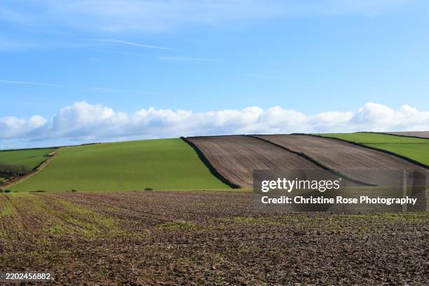 agricultural land on the cumbrian coast - plowed field stock pictures, royalty-free photos & images
