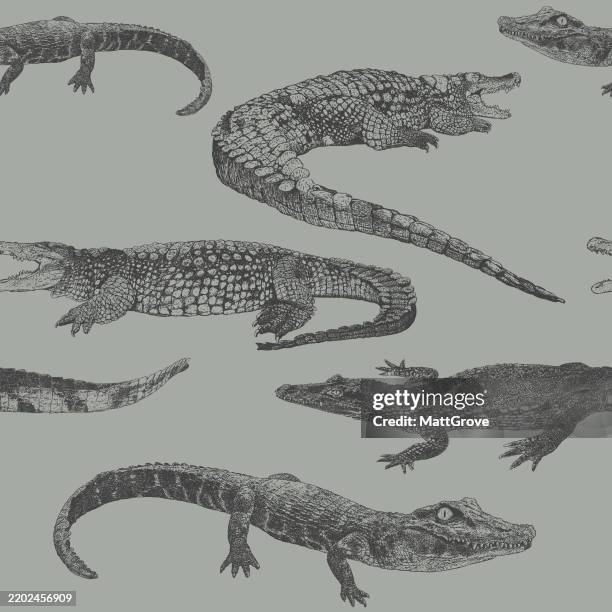 crocodile, alligator & caiman repeat pattern - alligator stock illustrations
