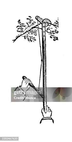 Tree pruner Tree pruner