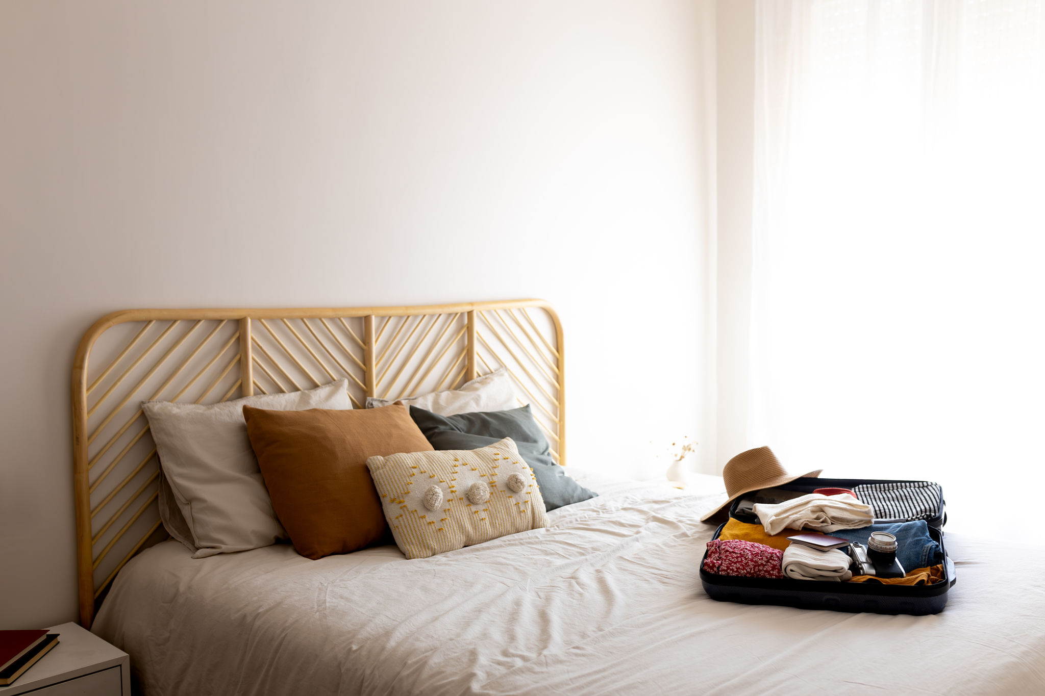 domestic travel