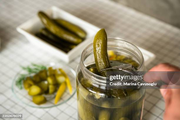 trendy fermented food. pickles and pickled pepper. - cetriolino foto e immagini stock