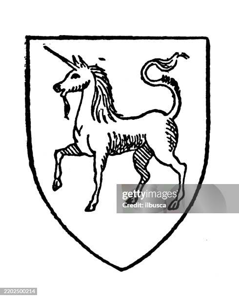 unicorn - unicorn stock illustrations
