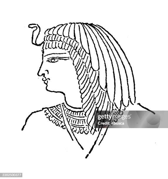 uraeus, sakkara, egypt - saqqara stock illustrations