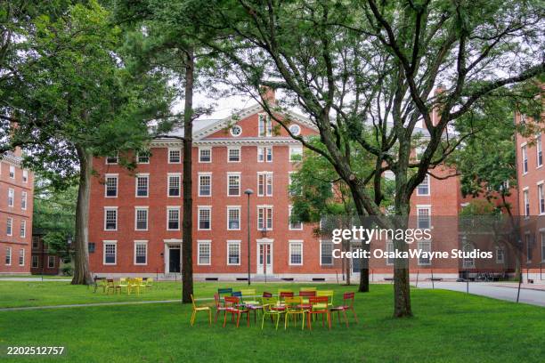 harvard - campus imagens e fotografias de stock