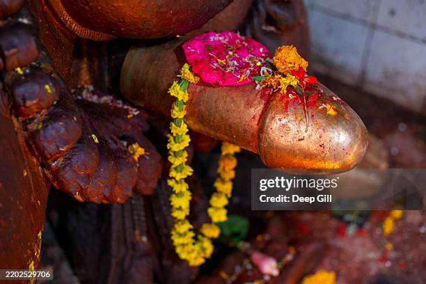 a statue of a hindu god at shree bagalamukhi temple near patan durbar square in kathmandu, nepal. - patan stock pictures, royalty-free photos & images