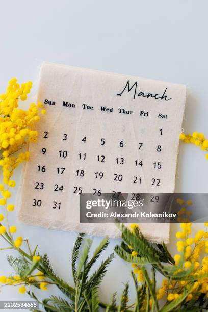 march 2025 calendar and mimosa branches flowers on pastel blue background. flat lay. hello spring concept - march month stock pictures, royalty-free photos & images