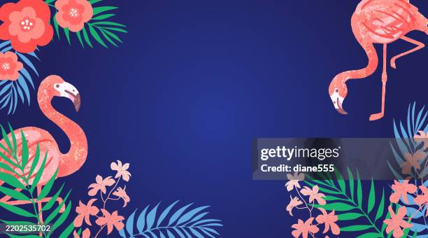 tropical flamingo web banner with copy space - flamingo stock illustrations