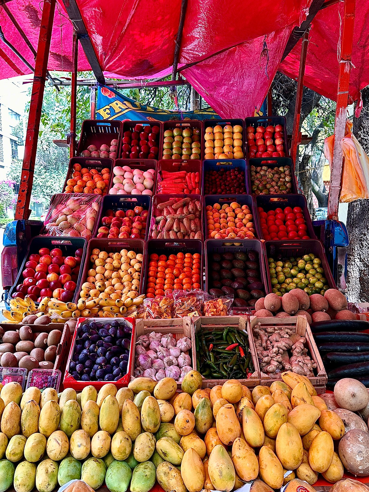 Mexico City markets