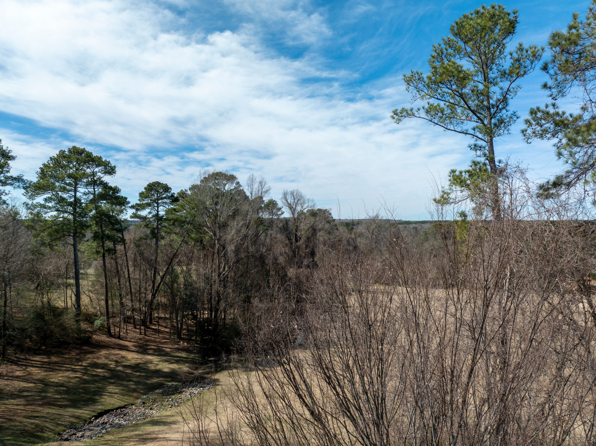 winnsboro landscape