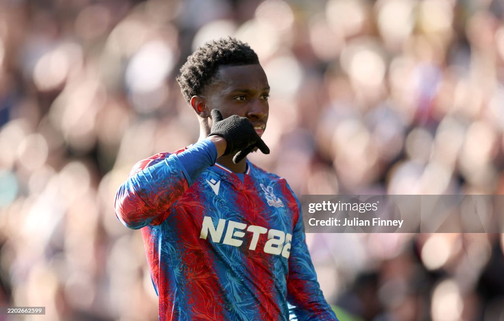 Crystal Palace v Millwall - Emirates FA Cup Fifth Round