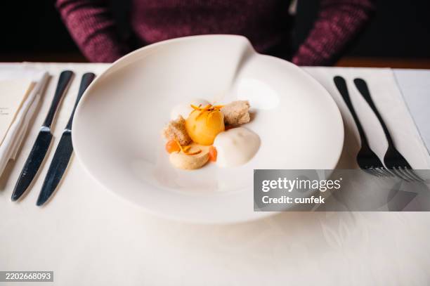 vegan dessert - sorbetto foto e immagini stock