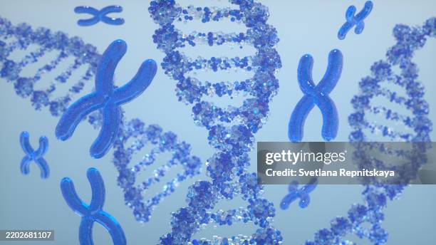 microscopic view of chromosomes and dna double helix rotating on light blue background - chromosome stock pictures, royalty-free photos & images