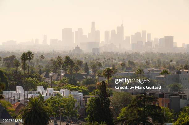 sunrise over west hollywood with the downtown skyline of los angeles in the background, california, usa - los angeles foto e immagini stock