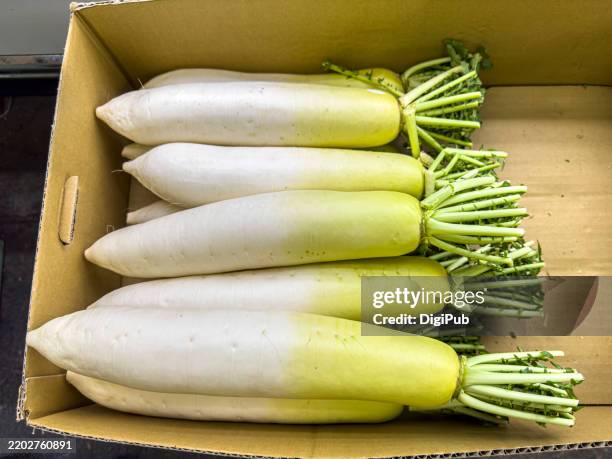 fresh daikon radish in cardboard box - daikon stock pictures, royalty-free photos & images