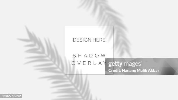 tree and leaf shadow overlay with transparent background - dappled light background stock illustrations