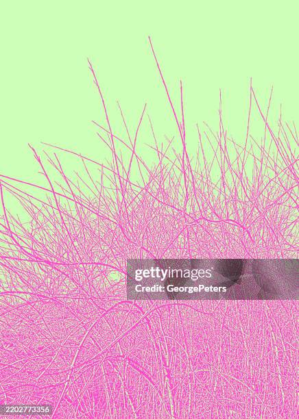 bare branches and twigs textured background - tree pruning stock illustrations