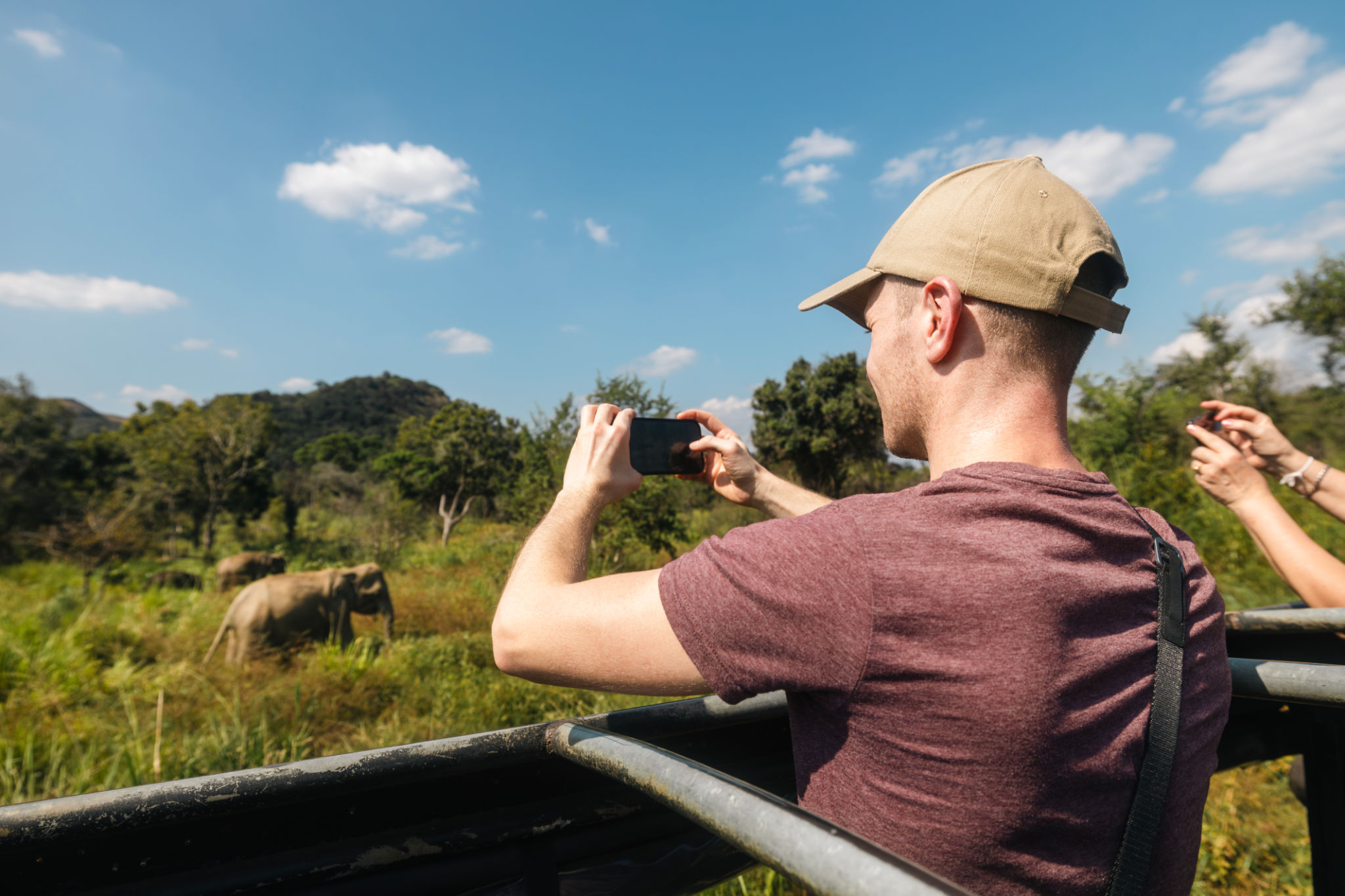 safari memories