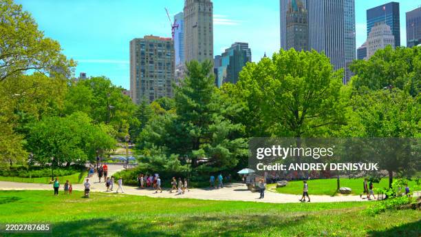 summer central park. new york - central park fotografías e imágenes de stock