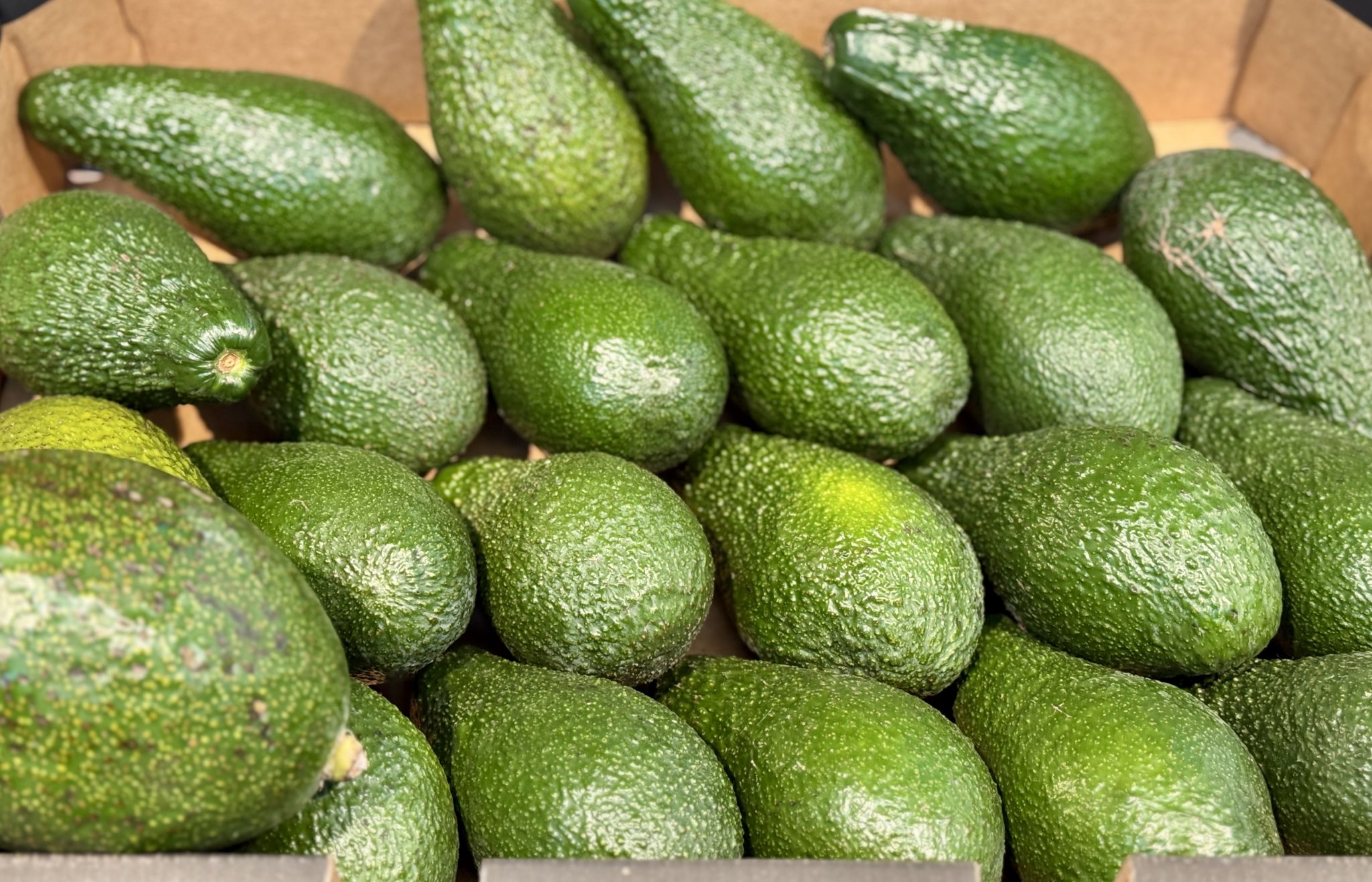 avocat Casablanca