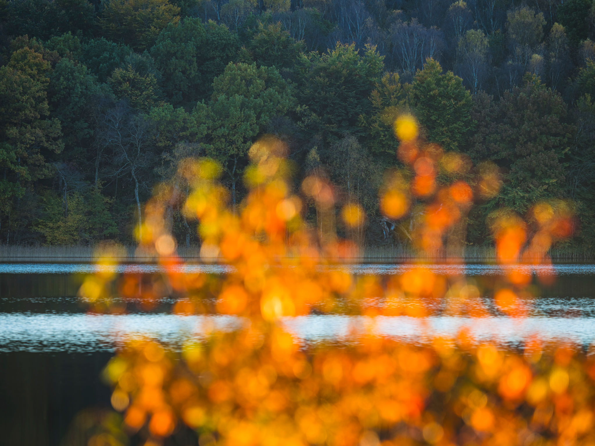 Autumn foliage reflects on a tranquil lake in Sweden during a serene fall afternoon Autumn foliage reflects on a tranquil lake in Sweden during a serene fall afternoon