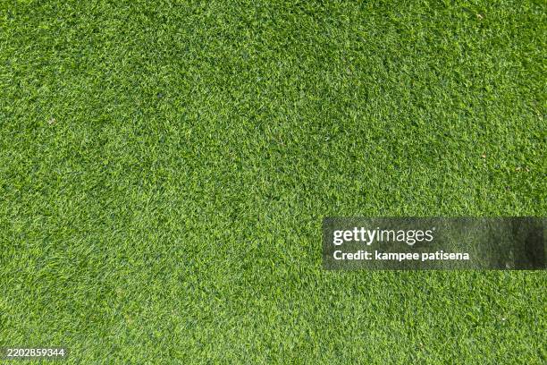 artificial grass, close up, full frame shot - zona de prados fotografías e imágenes de stock