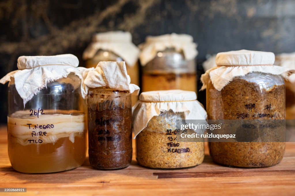 Variety of fermented products such as chickpea, rye and barley misos, vinegars and kombuchas