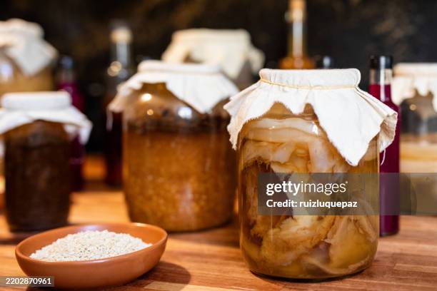variety of fermented products such as chickpea, rye and barley misos, vinegars and kombuchas - kombu stock pictures, royalty-free photos & images
