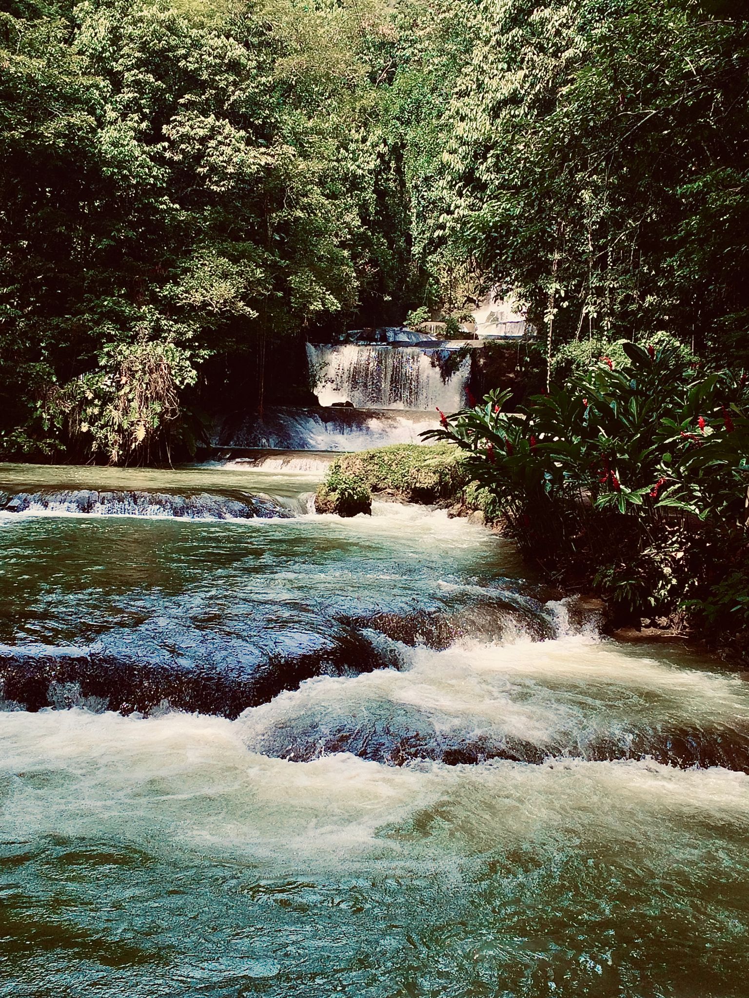 crooked river jamaica