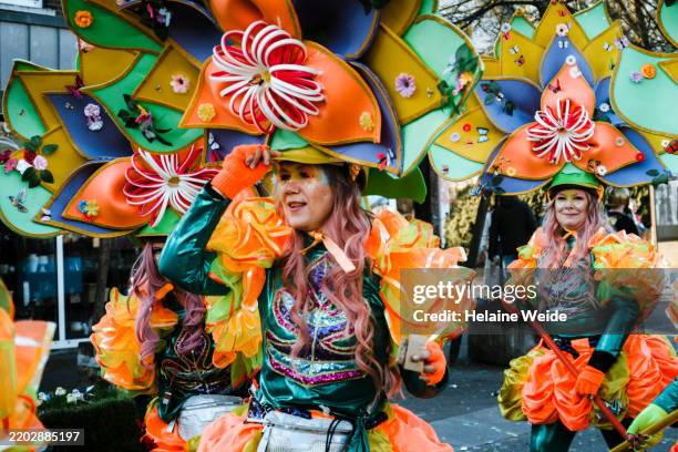 carnival season in the netherlands - carnaval-feestelijk-evenement stockfoto's en -beelden