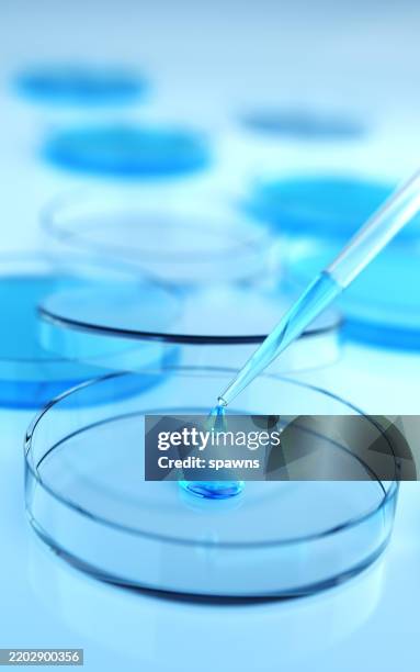 teste de líquido da pipeta de vidro em placa de petri em fundo reflexivo azul - tubo equipamento de laboratório - fotografias e filmes do acervo