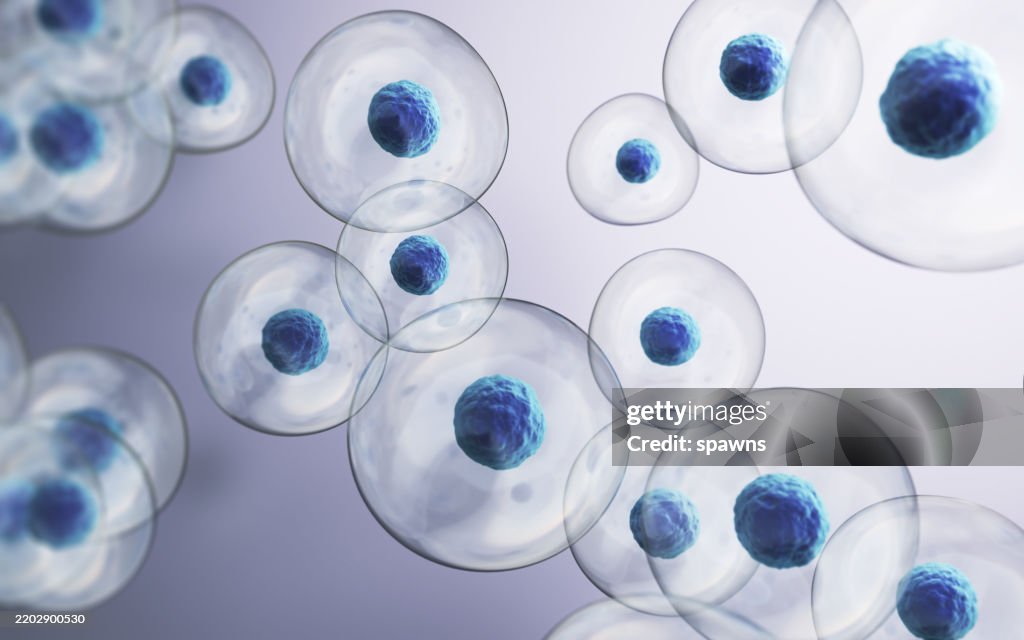Human Cell Embryonic Stem Cell, Depth Of Field