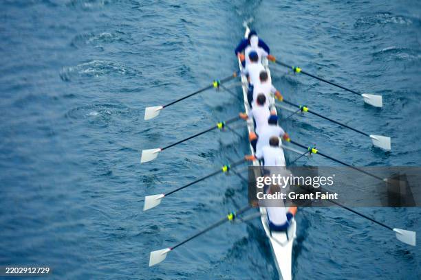 rowing eights competition - rowing cox stock pictures, royalty-free photos & images