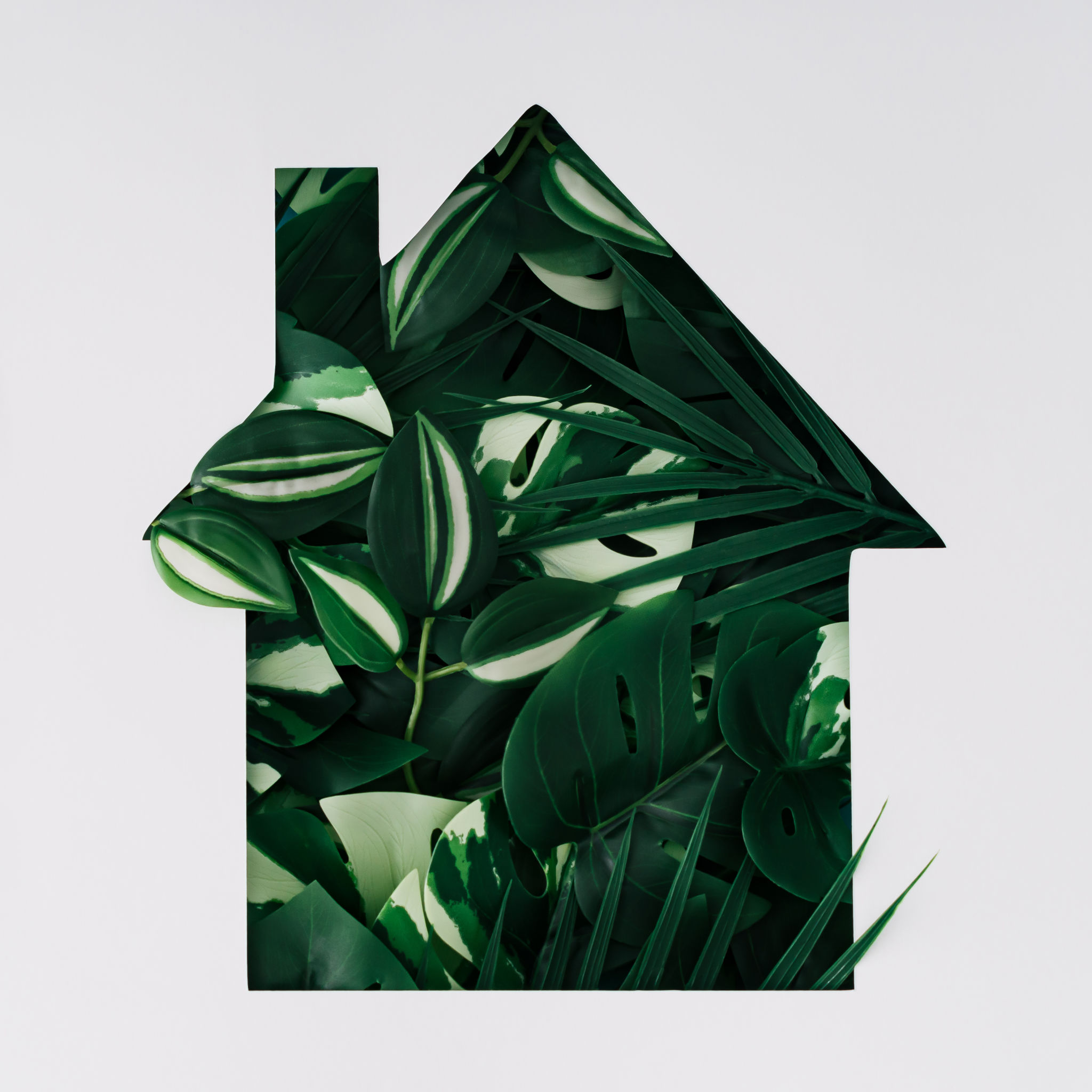 Tropical green leaves visible through a house shaped gap on white background. Minimal eco house concept. Flat lay style. Top view banner. Tropical green leaves visible through a house shaped gap on white background. Minimal eco house concept. Flat lay style. Top view banner.