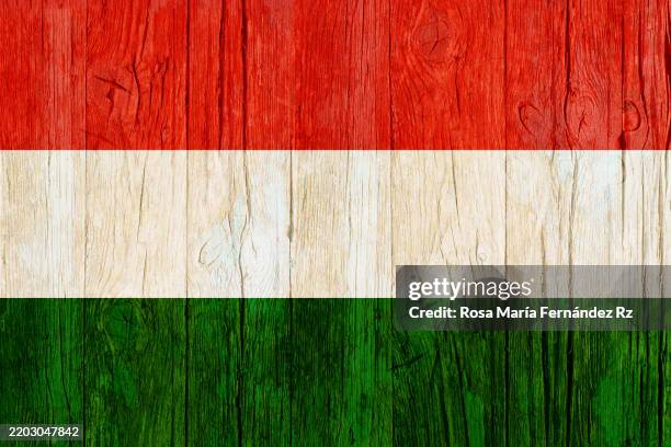 the hungary flag painted on wooden board - hungary flag stock pictures, royalty-free photos & images