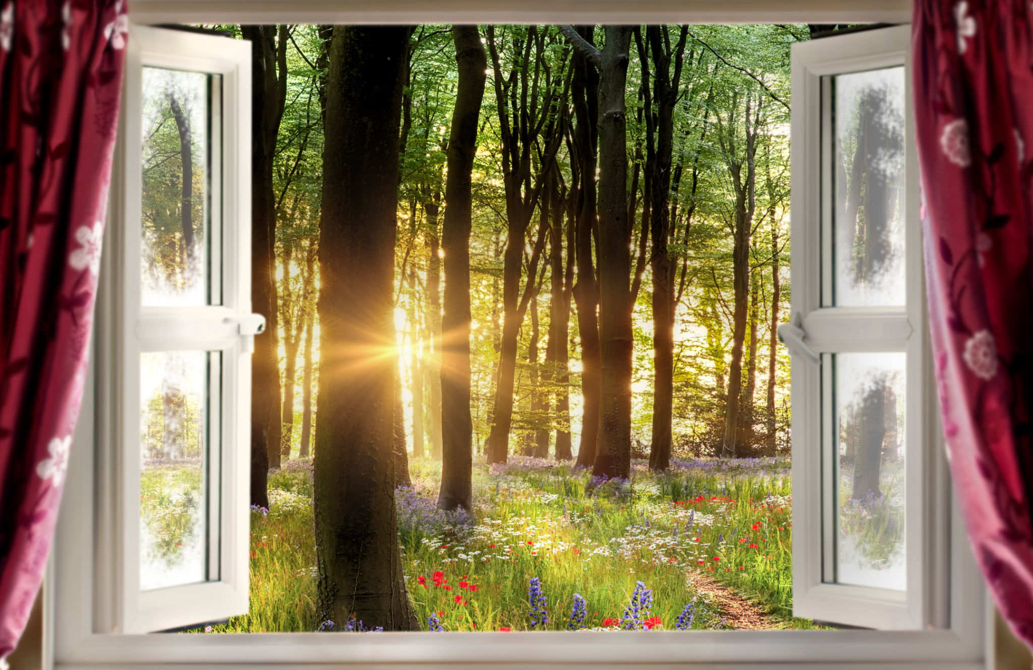 open window spring