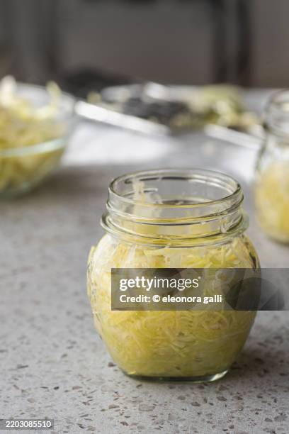 fermented sauerkraut - sauerkraut stock pictures, royalty-free photos & images