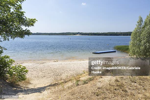 northern bathing beach on lake dreiweibern, lusatian lakeland, lohsa, saxony, germany, europe - norden stock-fotos und bilder