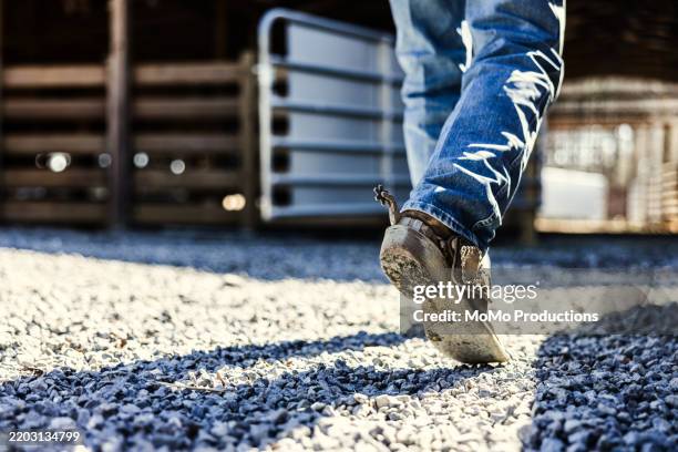 closeup of cowboy's boots walking on gravel - boot spur stock pictures, royalty-free photos & images