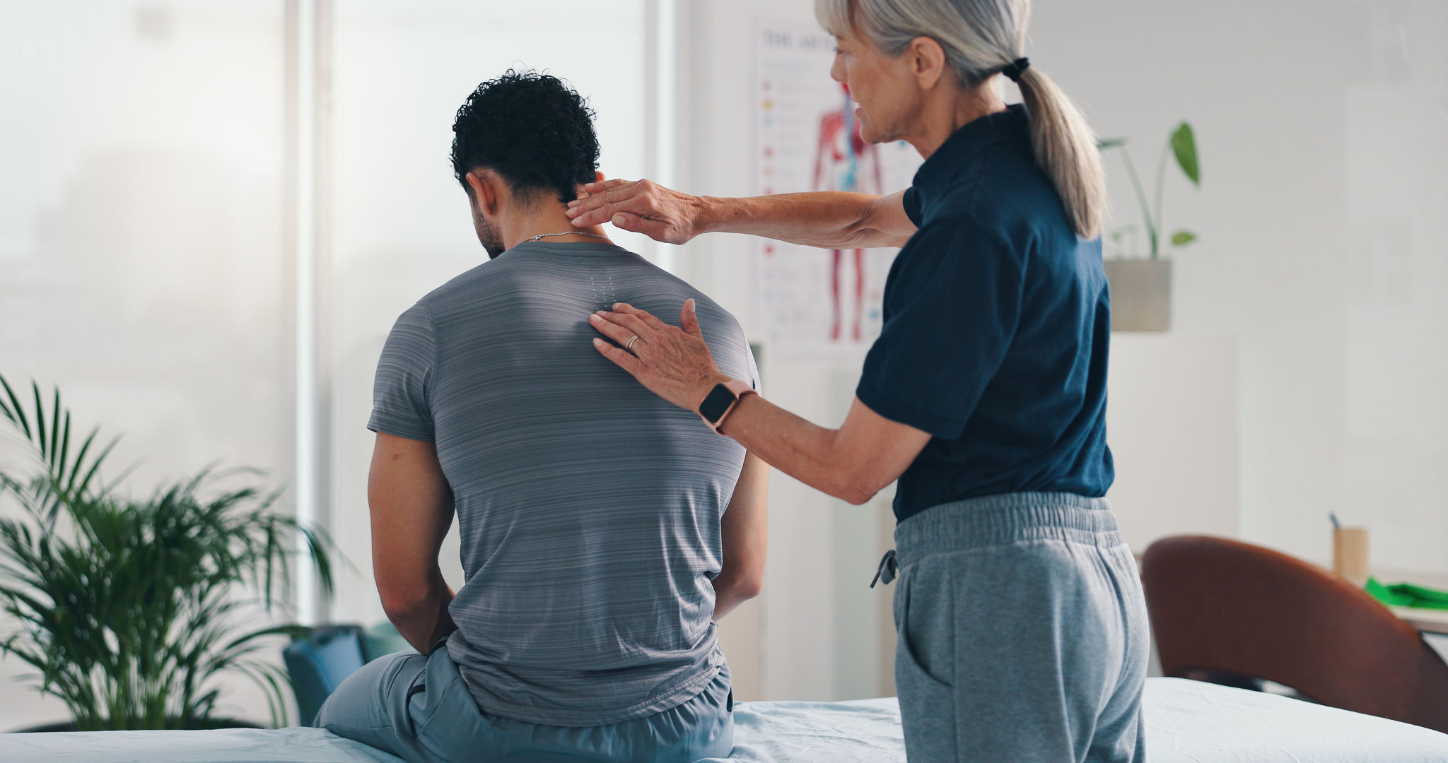 local chiropractor search